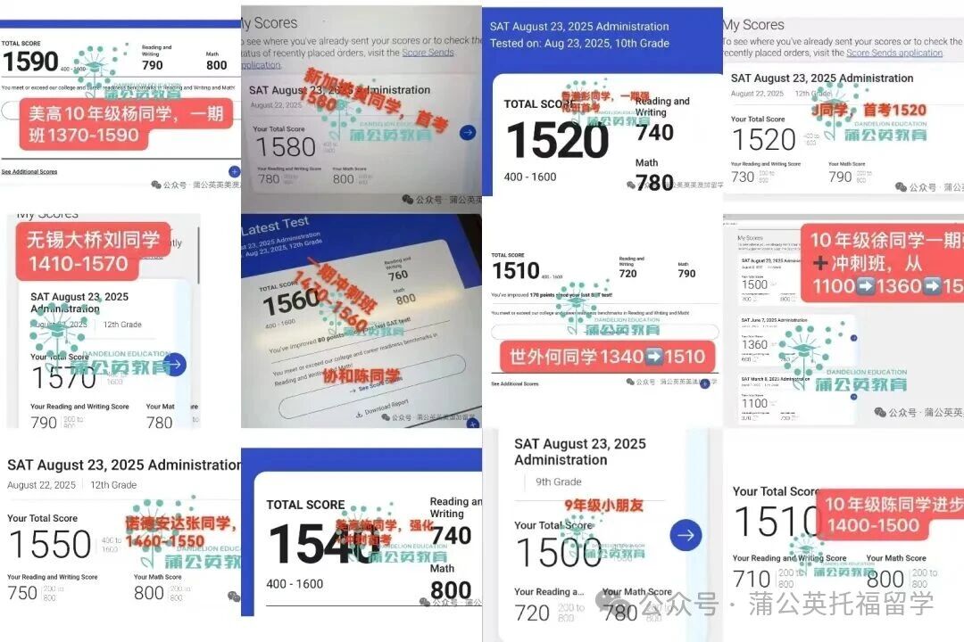 SAT培训机构推荐！3个核心标准，让你精准避开选机构的大坑！