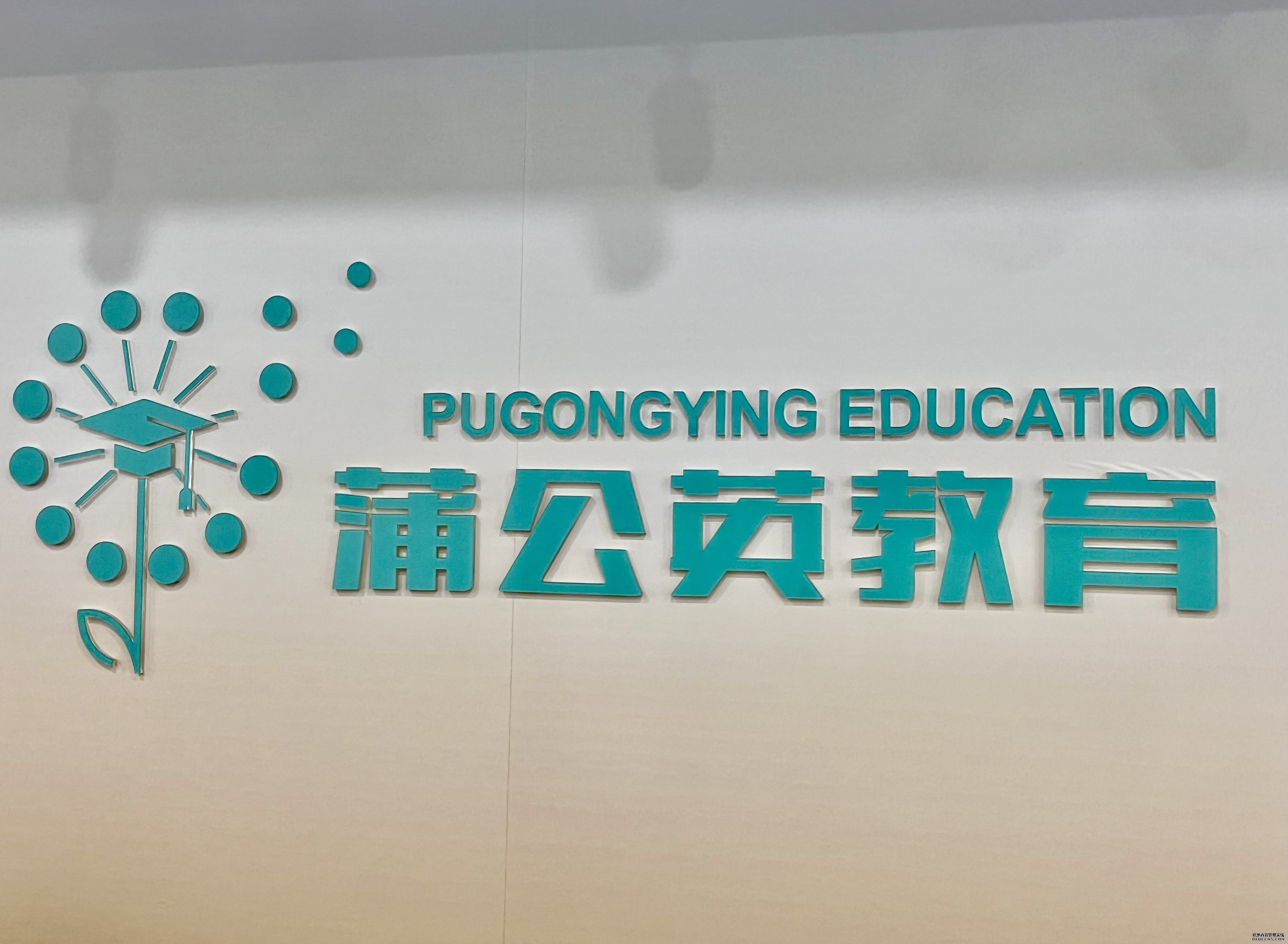 蒲公英教育